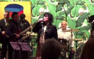 Ann Wilson Blues Experience