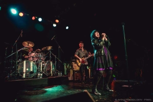 Ann Wilson Blues Experience